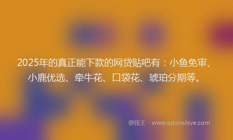 2025年的真正能下款的网贷贴吧有：小鱼免审、小鹿优选、牵牛花、口袋花、琥珀分期等。