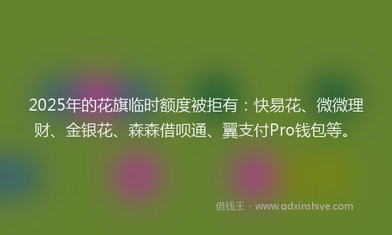 2025年的花旗临时额度被拒有：快易花、微微理财、金银花、森森借呗通、翼支付Pro钱包等。