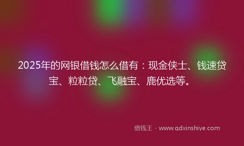2025年的网银借钱怎么借有：现金侠士、钱速贷宝、粒粒贷、飞融宝、鹿优选等。