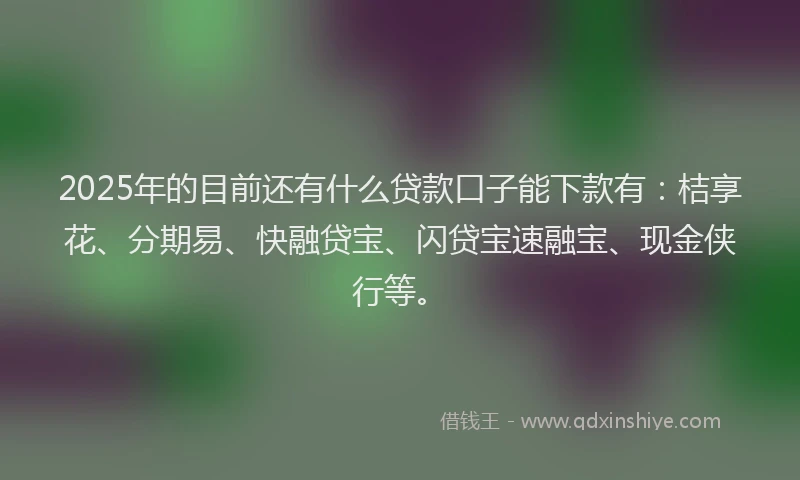 2025年的目前还有什么贷款口子能下款有：桔享花、分期易、快融贷宝、闪贷宝速融宝、现金侠行等。