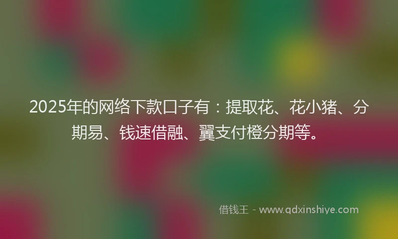 2025年的网络下款口子有：提取花、花小猪、分期易、钱速借融、翼支付橙分期等。