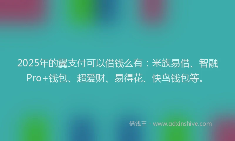 2025年的翼支付可以借钱么有：米族易借、智融Pro+钱包、超爱财、易得花、快鸟钱包等。