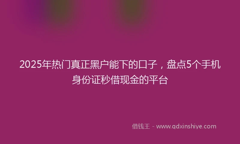 2025年热门真正黑户能下的口子，盘点5个手机身份证秒借现金的平台