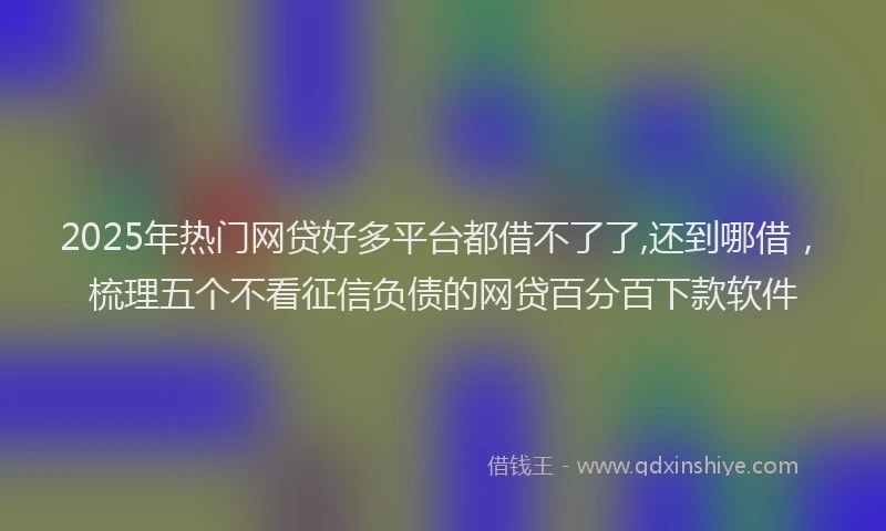 2025年热门网贷好多平台都借不了了,还到哪借，梳理五个不看征信负债的网贷百分百下款软件