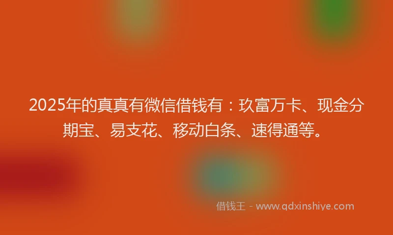 2025年的真真有微信借钱有：玖富万卡、现金分期宝、易支花、移动白条、速得通等。