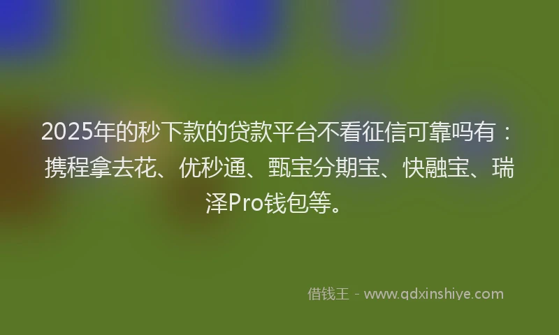 2025年的秒下款的贷款平台不看征信可靠吗有：携程拿去花、优秒通、甄宝分期宝、快融宝、瑞泽Pro钱包等。