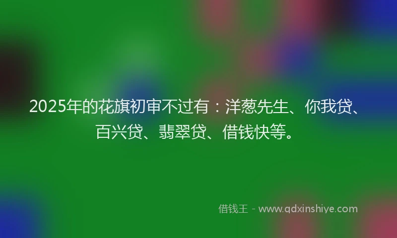 2025年的花旗初审不过有：洋葱先生、你我贷、百兴贷、翡翠贷、借钱快等。
