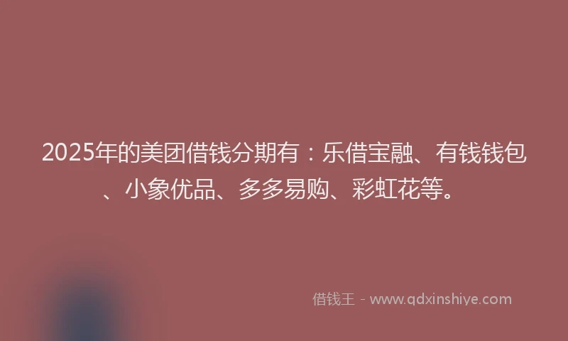 2025年的美团借钱分期有：乐借宝融、有钱钱包、小象优品、多多易购、彩虹花等。