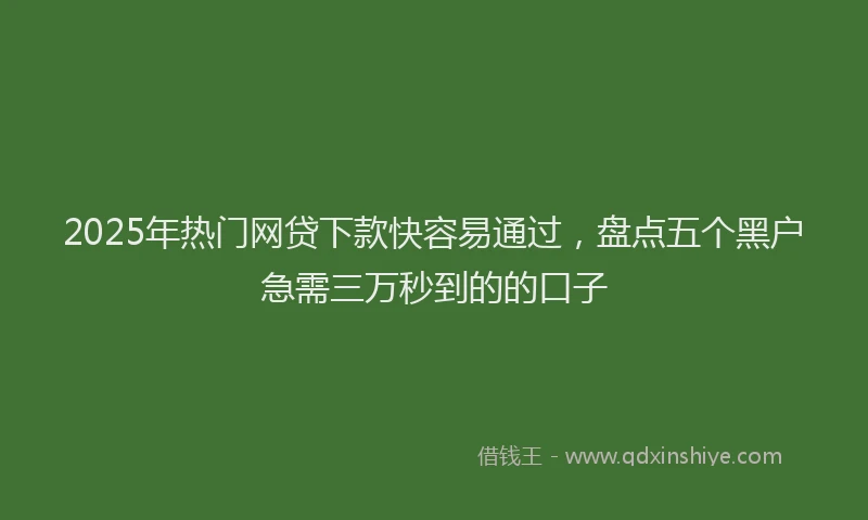 2025年热门网贷下款快容易通过，盘点五个黑户急需三万秒到的的口子
