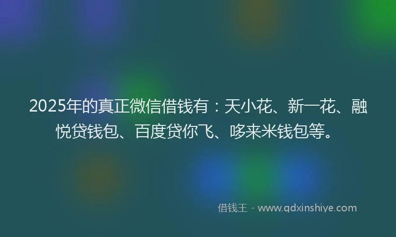 2025年的真正微信借钱有：天小花、新一花、融悦贷钱包、百度贷你飞、哆来米钱包等。