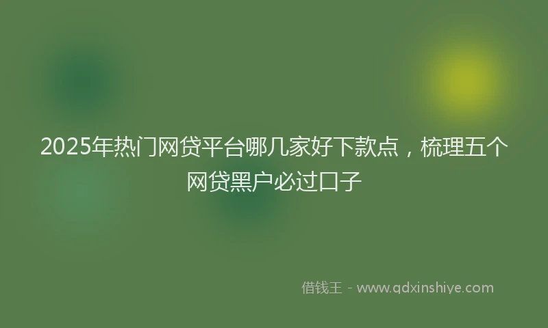 2025年热门网贷平台哪几家好下款点，梳理五个网贷黑户必过口子