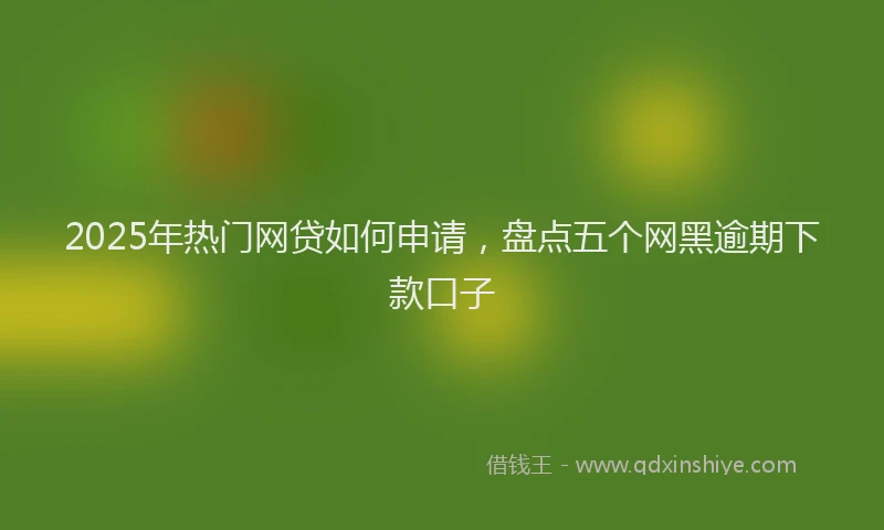 2025年热门网贷如何申请，盘点五个网黑逾期下款口子