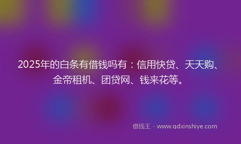 2025年的白条有借钱吗有：信用快贷、天天购、金帝租机、团贷网、钱来花等。