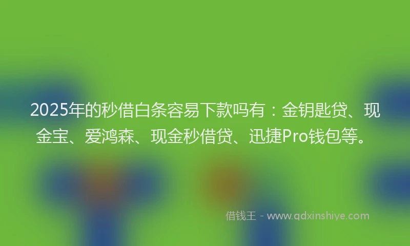 2025年的秒借白条容易下款吗有：金钥匙贷、现金宝、爱鸿森、现金秒借贷、迅捷Pro钱包等。