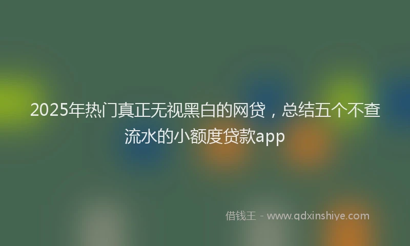 2025年热门真正无视黑白的网贷，总结五个不查流水的小额度贷款app
