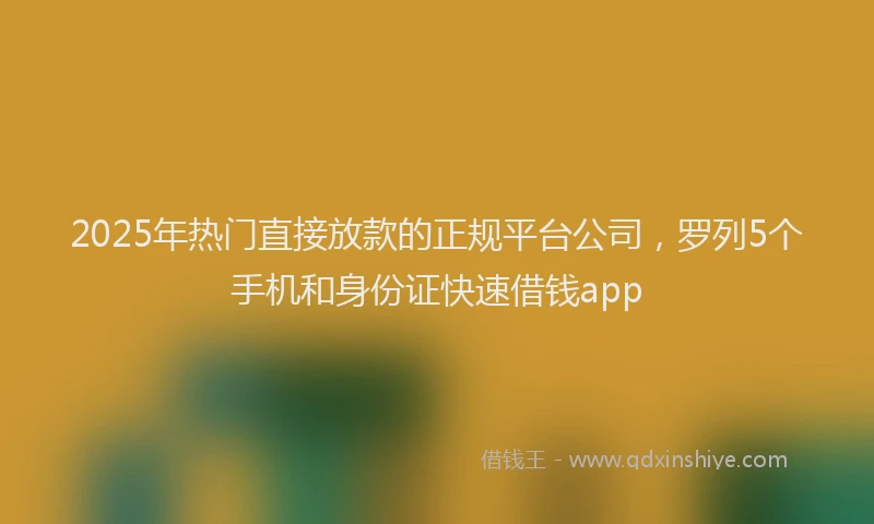 2025年热门直接放款的正规平台公司，罗列5个手机和身份证快速借钱app