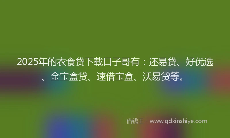 2025年的衣食贷下载口子哥有：还易贷、好优选、金宝盒贷、速借宝盒、沃易贷等。