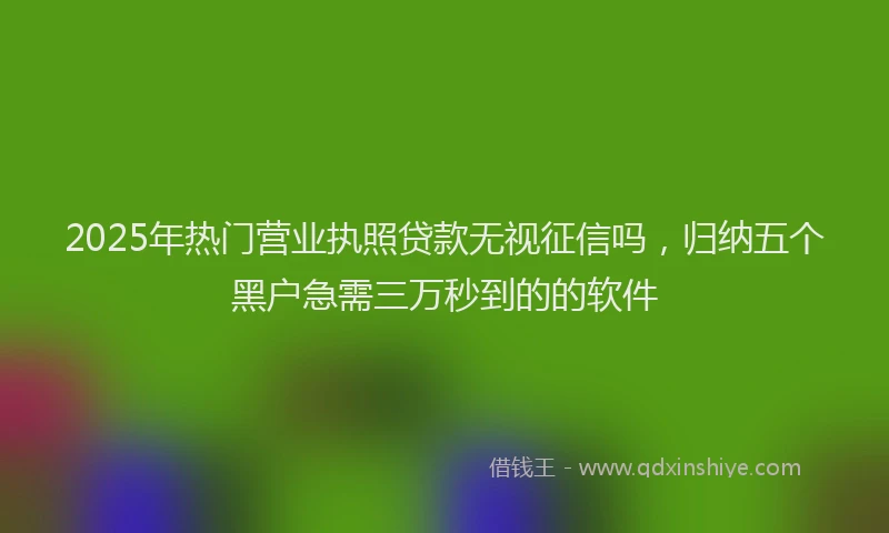 2025年热门营业执照贷款无视征信吗，归纳五个黑户急需三万秒到的的软件