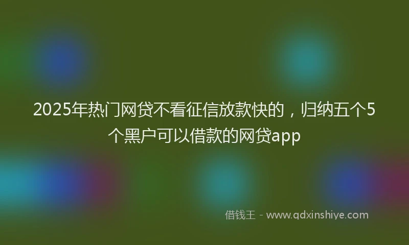 2025年热门网贷不看征信放款快的，归纳五个5个黑户可以借款的网贷app