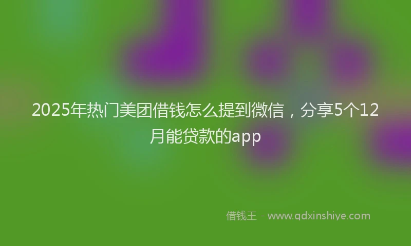 2025年热门美团借钱怎么提到微信，分享5个12月能贷款的app