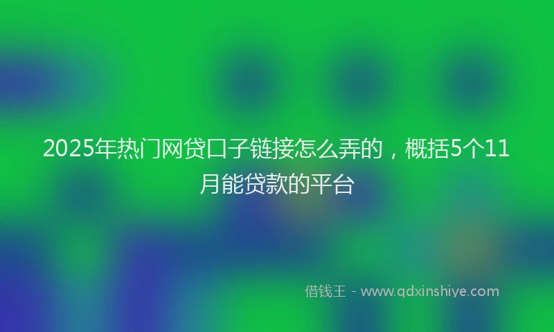 2025年热门网贷口子链接怎么弄的，概括5个11月能贷款的平台