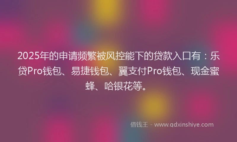 2025年的申请频繁被风控能下的贷款入口有：乐贷Pro钱包、易捷钱包、翼支付Pro钱包、现金蜜蜂、哈银花等。