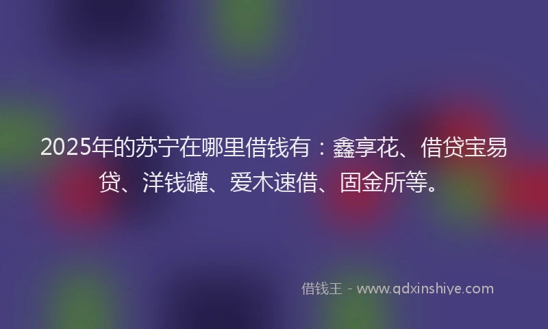 2025年的苏宁在哪里借钱有：鑫享花、借贷宝易贷、洋钱罐、爱木速借、固金所等。