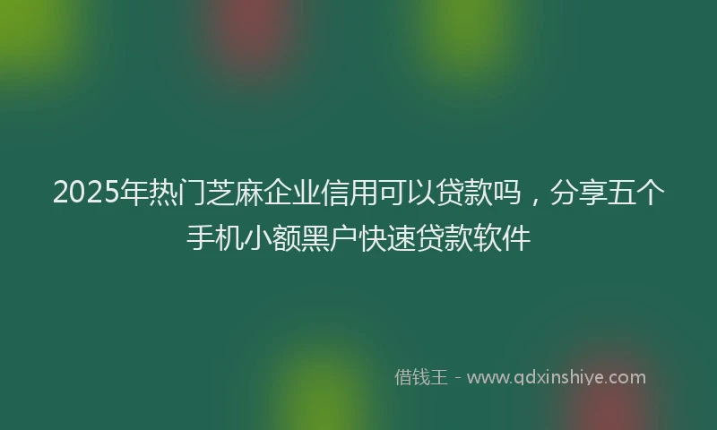 2025年热门芝麻企业信用可以贷款吗，分享五个手机小额黑户快速贷款软件