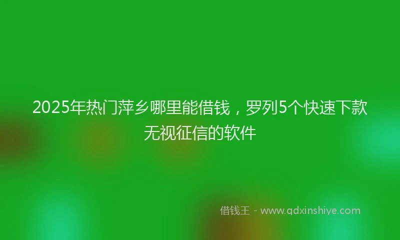 2025年热门萍乡哪里能借钱，罗列5个快速下款无视征信的软件