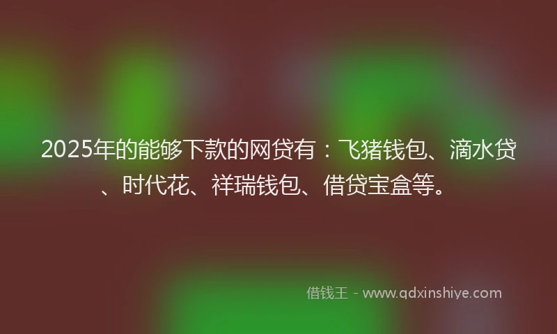 2025年的能够下款的网贷有：飞猪钱包、滴水贷、时代花、祥瑞钱包、借贷宝盒等。