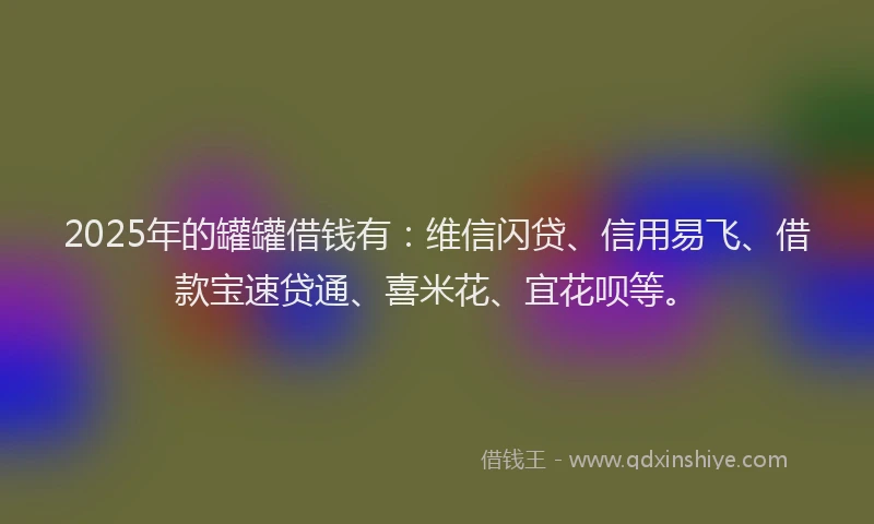 2025年的罐罐借钱有：维信闪贷、信用易飞、借款宝速贷通、喜米花、宜花呗等。