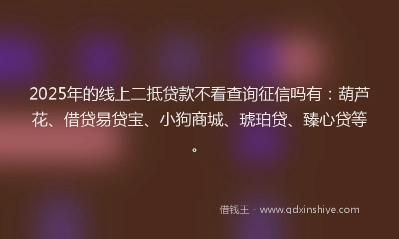 2025年的线上二抵贷款不看查询征信吗有：葫芦花、借贷易贷宝、小狗商城、琥珀贷、臻心贷等。