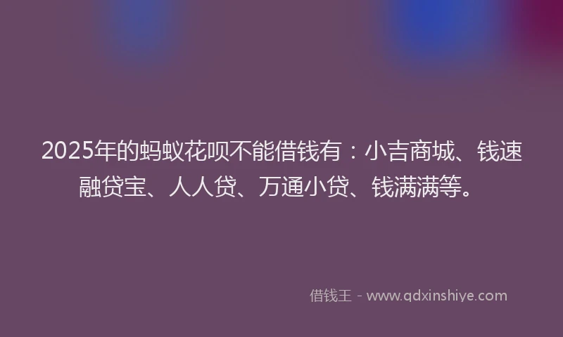 2025年的蚂蚁花呗不能借钱有：小吉商城、钱速融贷宝、人人贷、万通小贷、钱满满等。