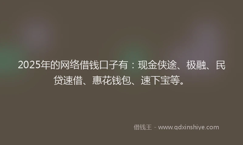 2025年的网络借钱口子有：现金侠途、极融、民贷速借、惠花钱包、速下宝等。