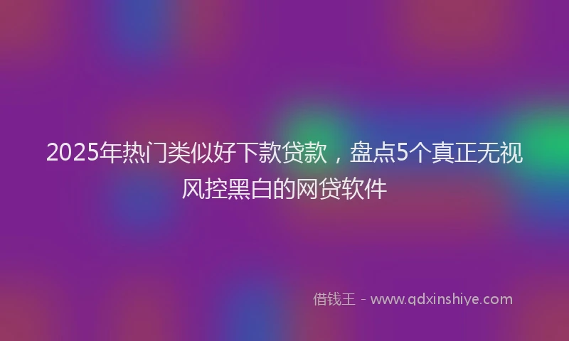 2025年热门类似好下款贷款，盘点5个真正无视风控黑白的网贷软件