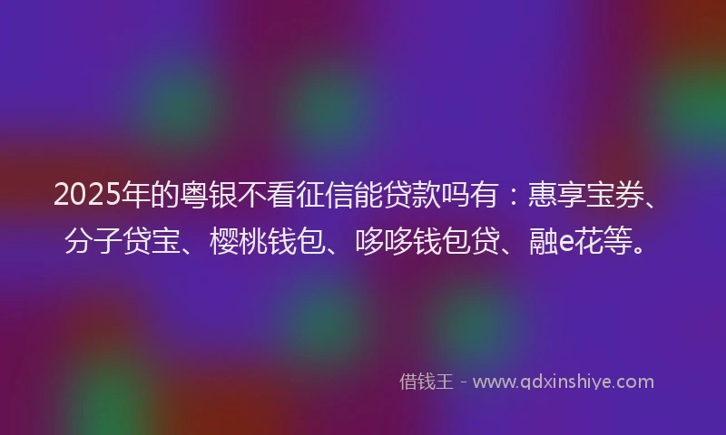 2025年的粤银不看征信能贷款吗有：惠享宝券、分子贷宝、樱桃钱包、哆哆钱包贷、融e花等。