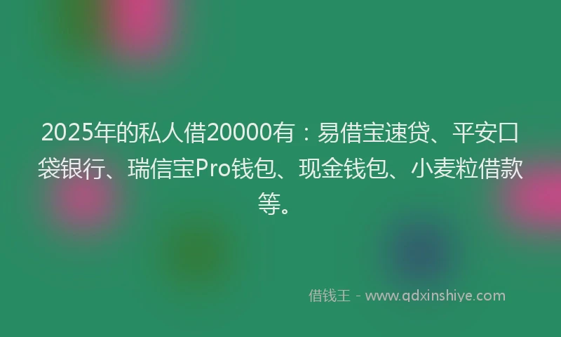 2025年的私人借20000有：易借宝速贷、平安口袋银行、瑞信宝Pro钱包、现金钱包、小麦粒借款等。
