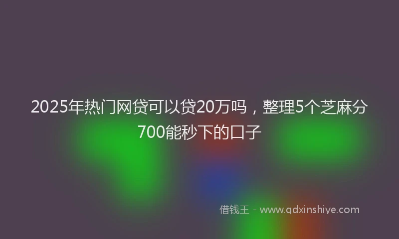 2025年热门网贷可以贷20万吗，整理5个芝麻分700能秒下的口子