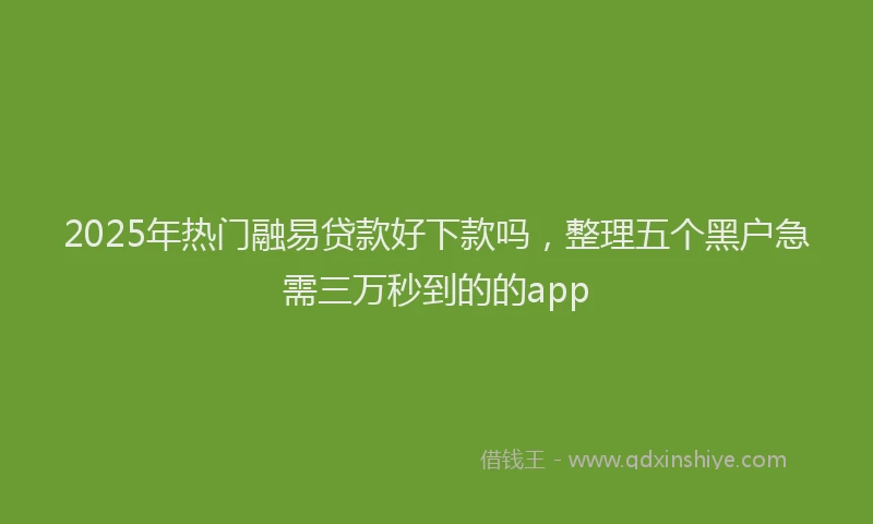 2025年热门融易贷款好下款吗，整理五个黑户急需三万秒到的的app
