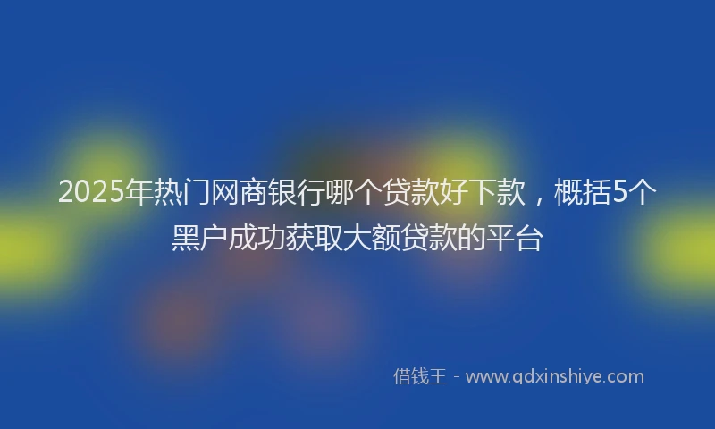2025年热门网商银行哪个贷款好下款，概括5个黑户成功获取大额贷款的平台