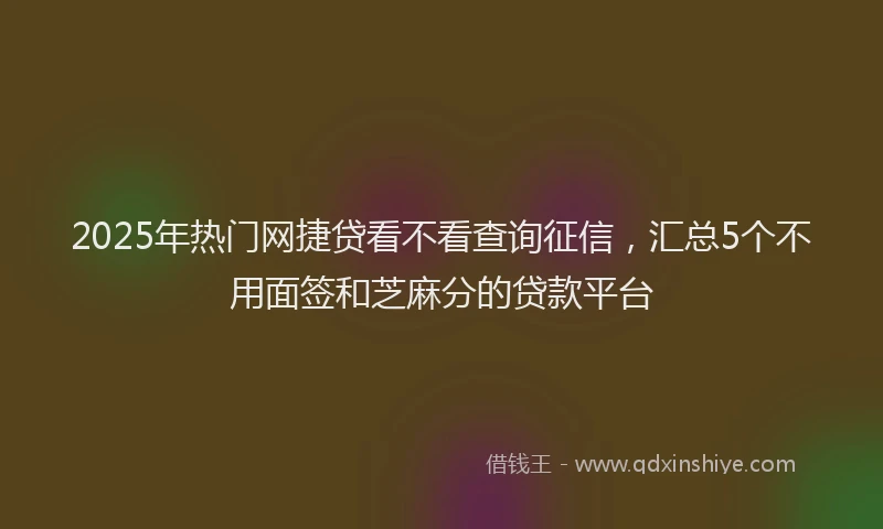 2025年热门网捷贷看不看查询征信，汇总5个不用面签和芝麻分的贷款平台