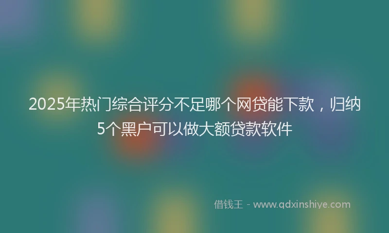 2025年热门综合评分不足哪个网贷能下款，归纳5个黑户可以做大额贷款软件