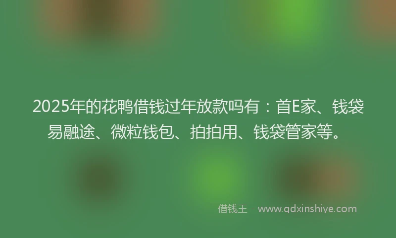 2025年的花鸭借钱过年放款吗有：首E家、钱袋易融途、微粒钱包、拍拍用、钱袋管家等。