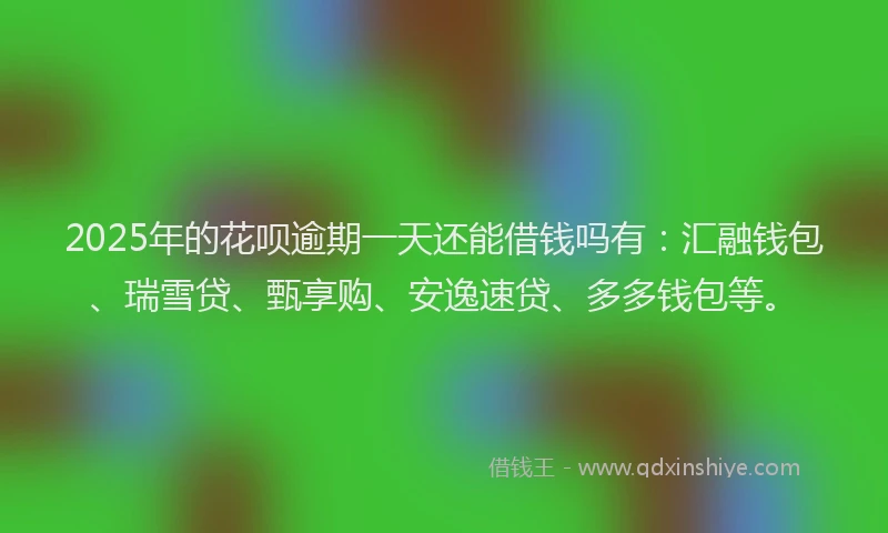 2025年的花呗逾期一天还能借钱吗有：汇融钱包、瑞雪贷、甄享购、安逸速贷、多多钱包等。