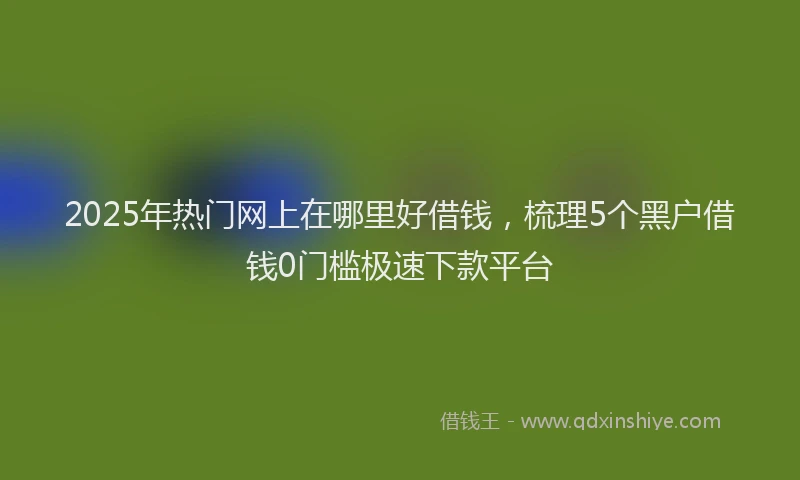 2025年热门网上在哪里好借钱，梳理5个黑户借钱0门槛极速下款平台