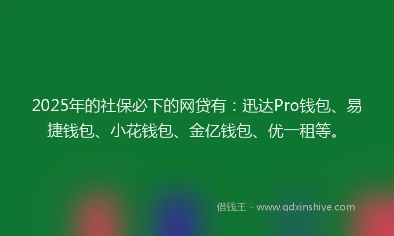 2025年的社保必下的网贷有：迅达Pro钱包、易捷钱包、小花钱包、金亿钱包、优一租等。