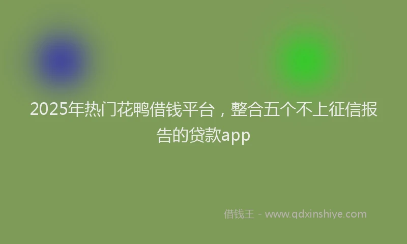 2025年热门花鸭借钱平台，整合五个不上征信报告的贷款app