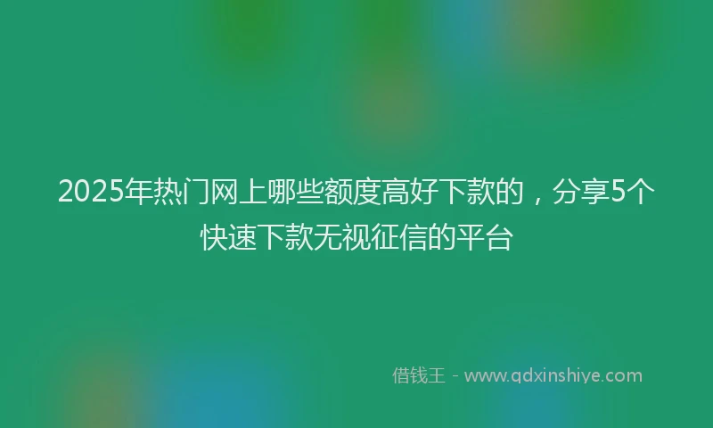 2025年热门网上哪些额度高好下款的，分享5个快速下款无视征信的平台