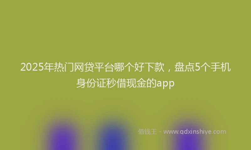 2025年热门网贷平台哪个好下款，盘点5个手机身份证秒借现金的app