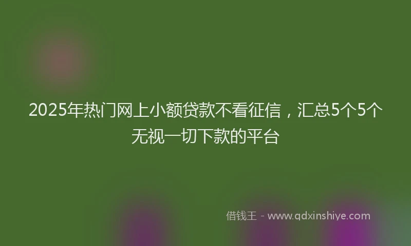 2025年热门网上小额贷款不看征信，汇总5个5个无视一切下款的平台